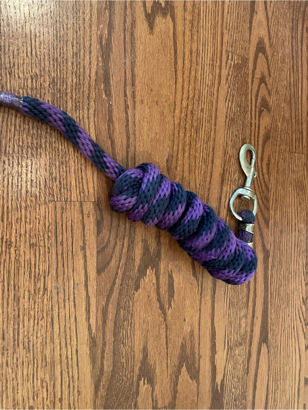 Purple Lead Rope